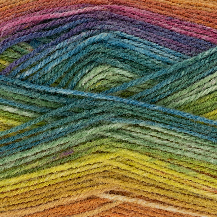 King Cole Bramble DK
