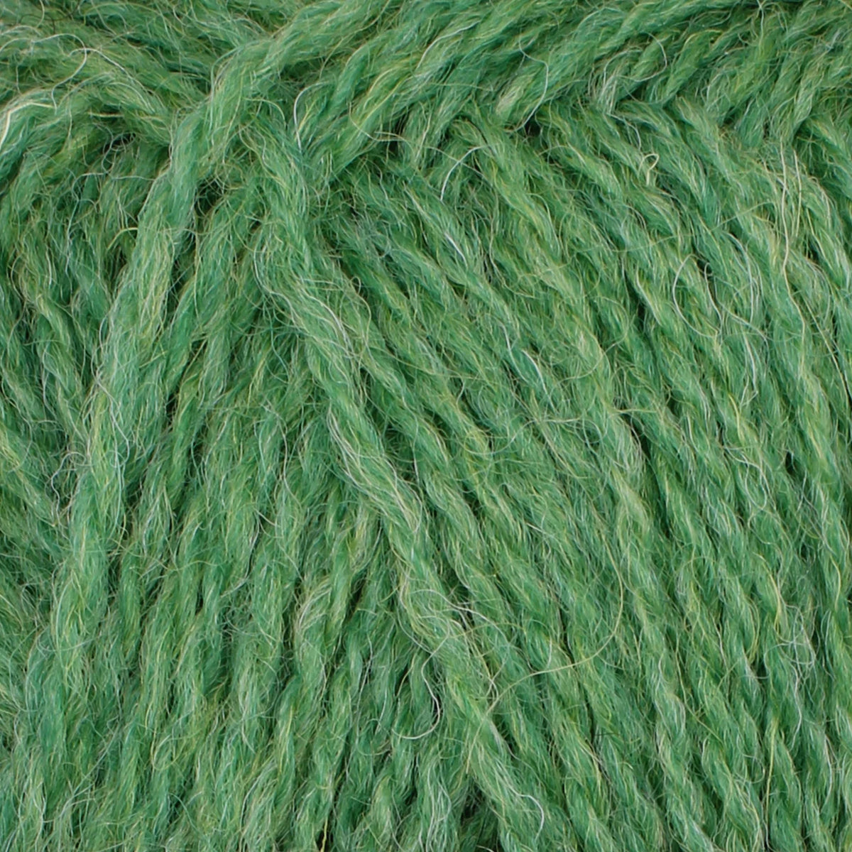 baa ram ewe Pip Colourwork 4ply