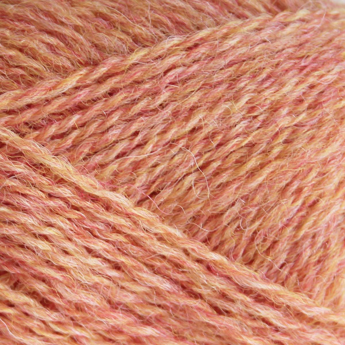 baa ram ewe Pip Colourwork 4ply