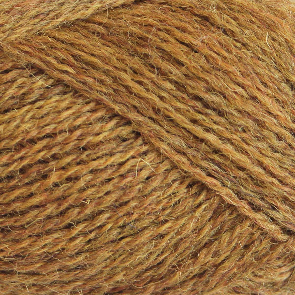 baa ram ewe Pip Colourwork 4ply