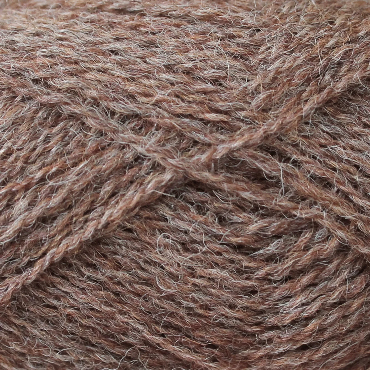 baa ram ewe Pip Colourwork 4ply