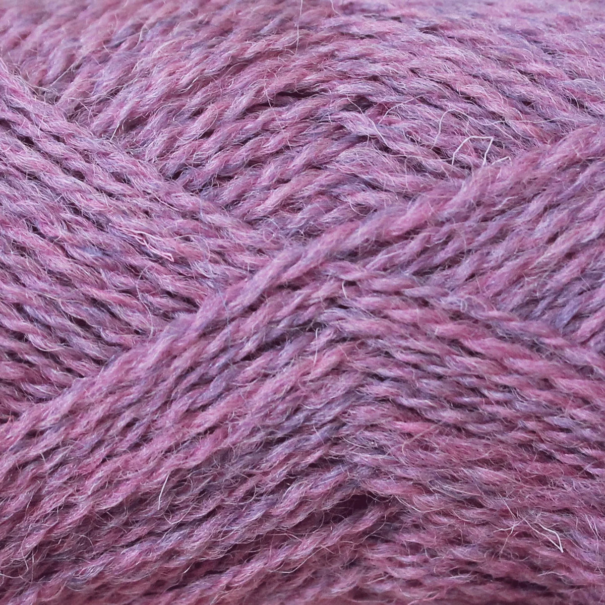 baa ram ewe Pip Colourwork 4ply