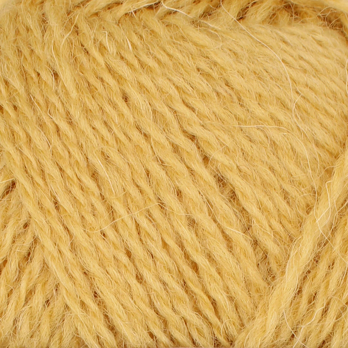 baa ram ewe Pip Colourwork 4ply