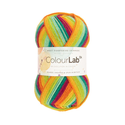 West Yorkshire Spinners ColourLab DK WYS 100% wool yarn