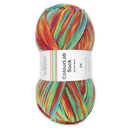 West Yorkshire Spinners ColourLab Sock DK