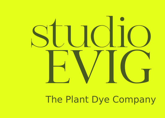 studioEVIG DIY Natural Dye Kit – Create Your Own Naturally Dyed Tote Bag!